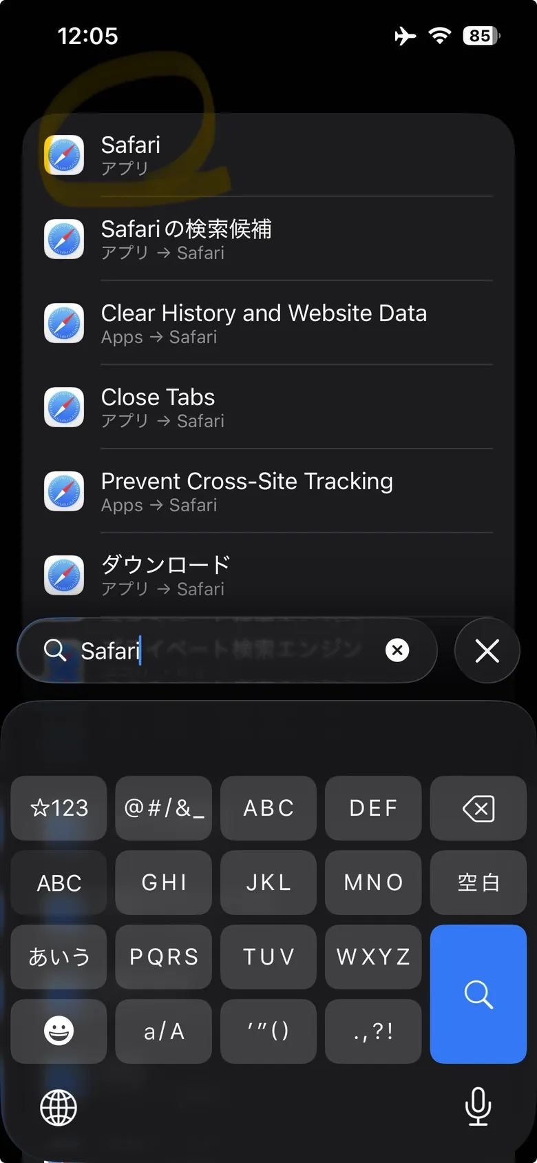 設定の検索で Safari を探しているところ